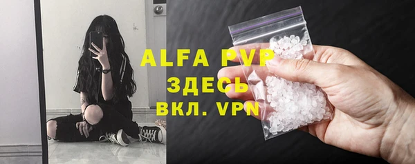 прущие крисы Новозыбков