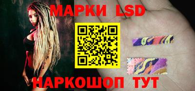 индика Гатчина