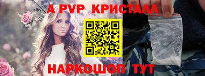 индика Гатчина