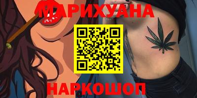 индика Гатчина