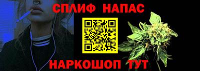 индика Гатчина