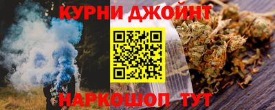 индика Гатчина
