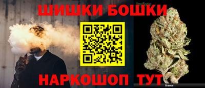индика Гатчина