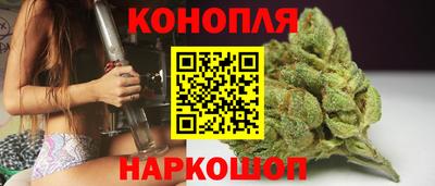 индика Гатчина