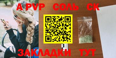 индика Гатчина