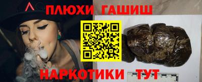 индика Гатчина