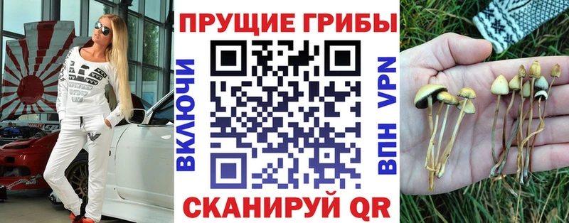 Галлюциногенные грибы прущие грибы  Котовск 