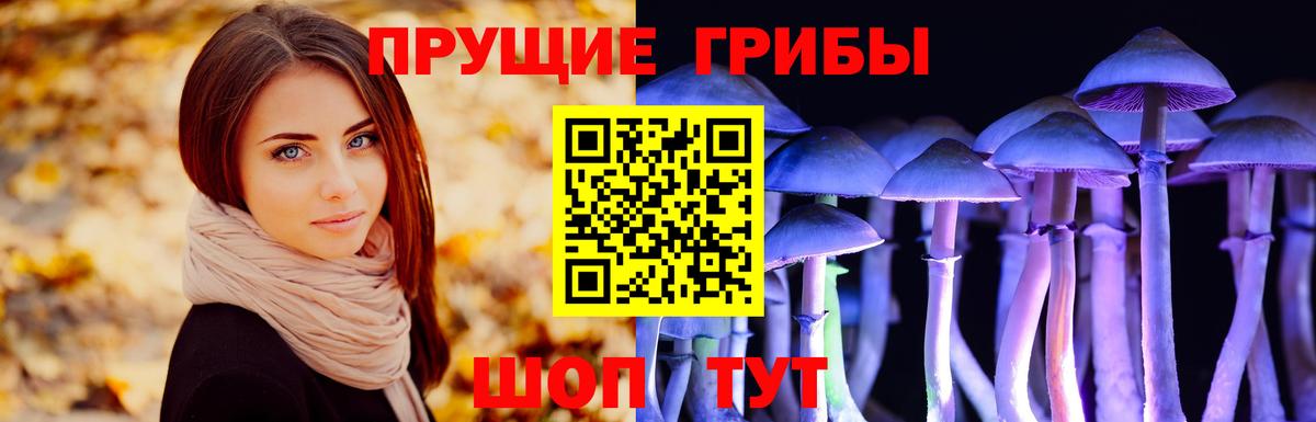 Котовск  Псилоцибиновые грибы Psilocybe  Вход с VPN  Галлюциногенные грибы Cubensis 